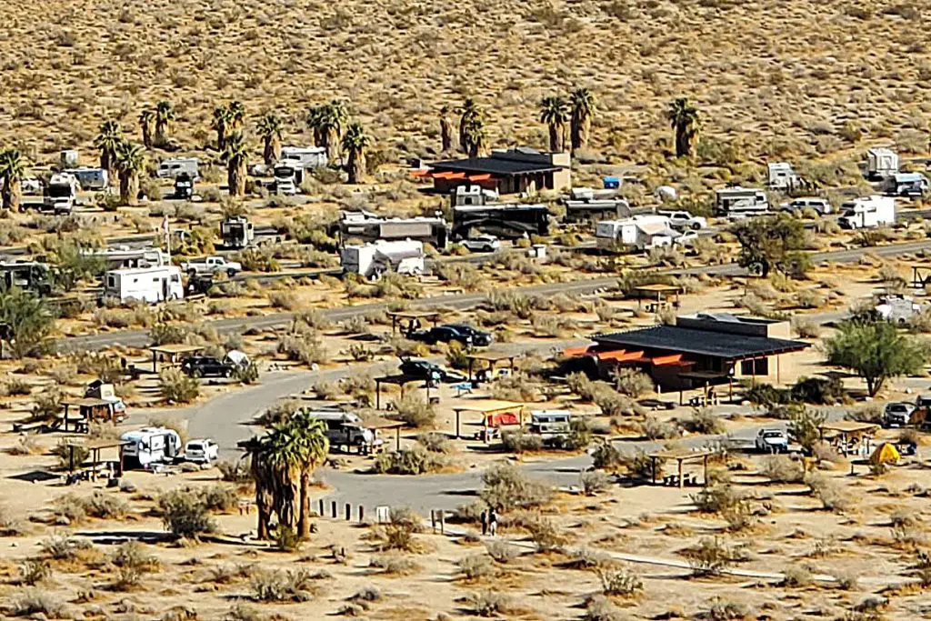 Borrego Palm Canyon Campground