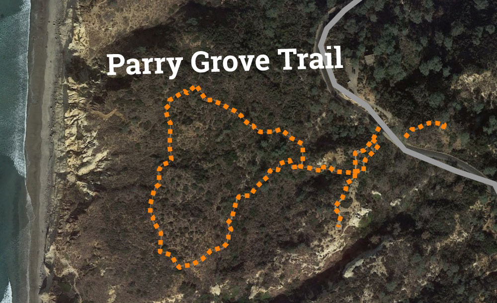 Torrey Pines Parry Grove Trail Map