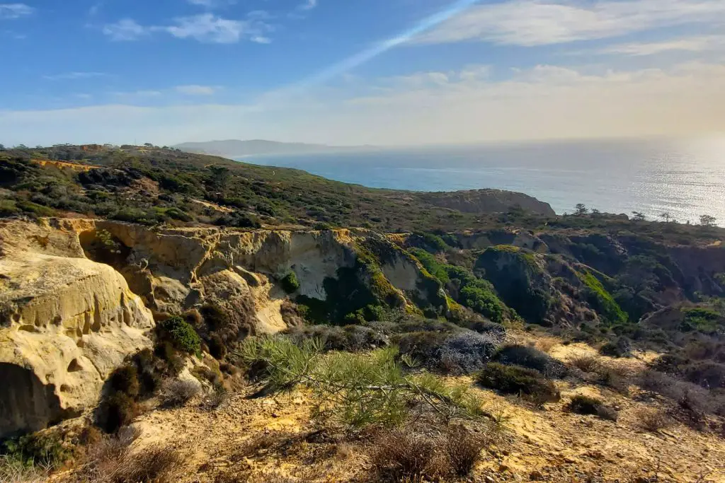 Torrey Pines Parry Grove Trail View