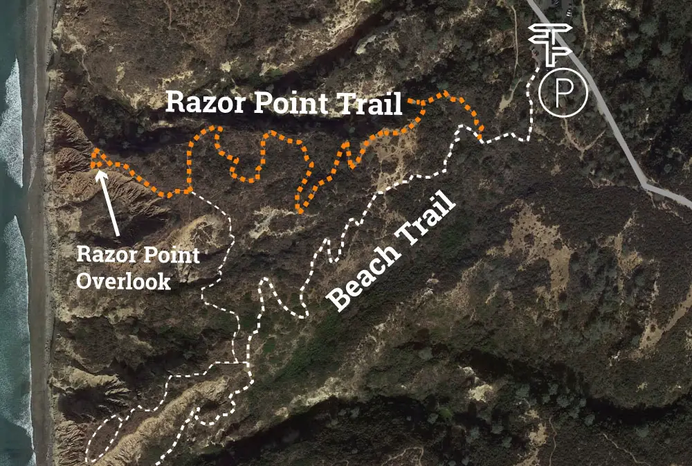Torrey Pines Razor Point Trail Map