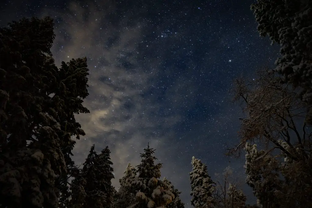 Palomar Mountain Camping Sky